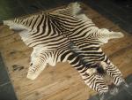 Шкура зебры из ЮАР.