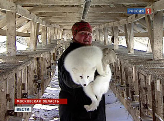 Компания ОАО ПУШКИНСКИЙ ЗВЕРОСОВХОЗ, город Пушкино