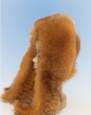 женская меховая шапка- шарф из тонированной лисы