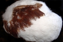 шапка из птичьего меха (женский головной убор белого цвета) с отделкой перьями другого цвета