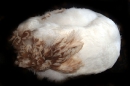 белая шапка из птичьего меха с узором в виде цветка (женский головной убор) и отделкой перьями